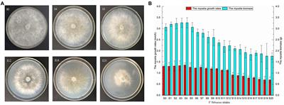 Successive mycelial subculturing decreased lignocellulase activity and increased ROS accumulation in Volvariella volvacea